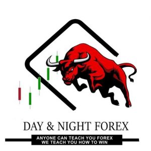 Day and Night FOrex course